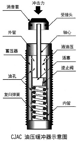 黄瓜视频在线看在應用中的功能